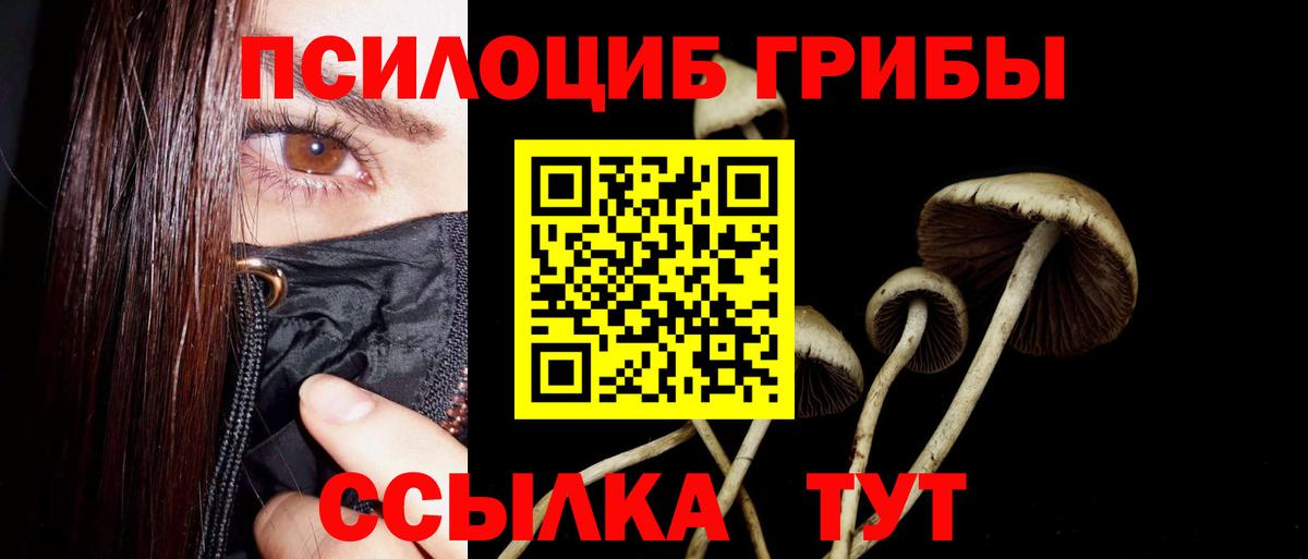 Нижний Тагил  купить закладку  Псилоцибиновые грибы Psilocybine cubensis  Вход с VPN  Галлюциногенные грибы Psilocybine cubensis 